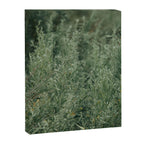 Sage Canvas Print Gallery Image 6