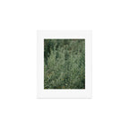 Sage Art Print Gallery Image 1