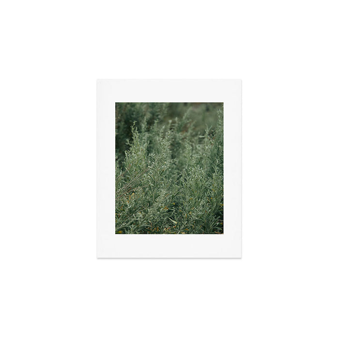 Sage Art Print Gallery Image 1