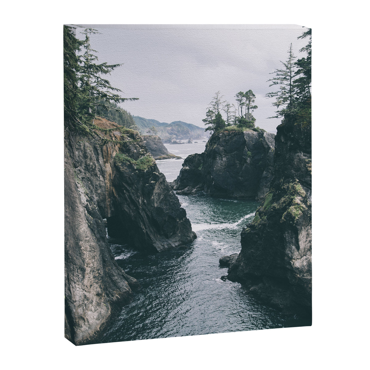 Samuel H. Boardman Canvas Print Gallery Image 6