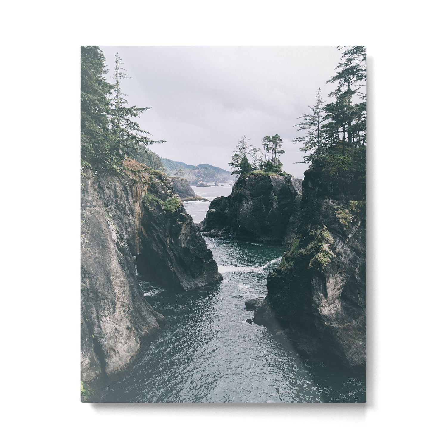 Samuel H. Boardman Metal Print Gallery Image 4