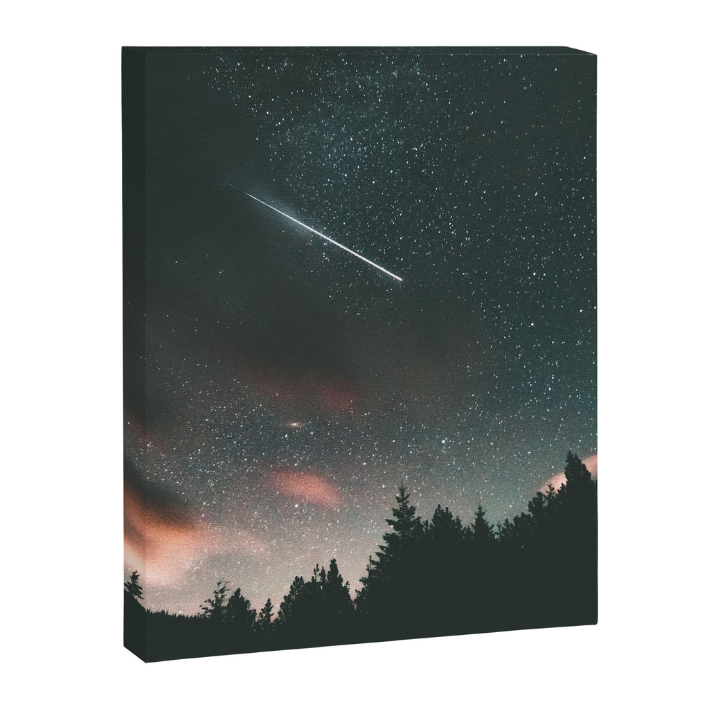 Shooting Stars Canvas Print Gallery Image 6
