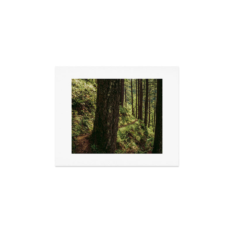 Side Trail II Art Print Gallery Image 1