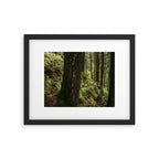 Side Trail II Framed Art Print Gallery Image 5
