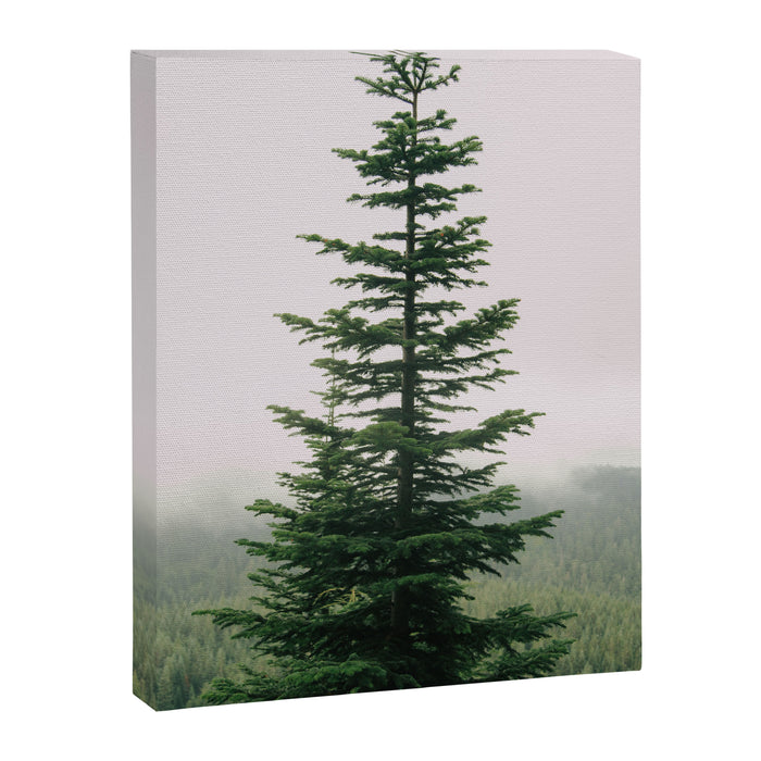 Single Tree Canvas Print Gallery Image 1