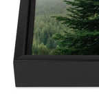Single Tree Framed Canvas Print Gallery Image 3