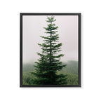 Single Tree Framed Canvas Print Gallery Image 6