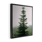 Single Tree Framed Canvas Print Gallery Image 2