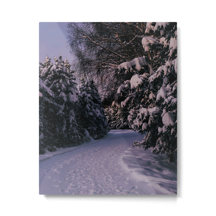 Snowy Path Metal Print Gallery Image 1