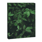 Some Greenery Canvas Print Gallery Image 6
