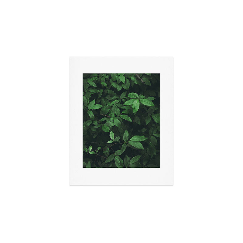 Some Greenery Art Print Gallery Image 1