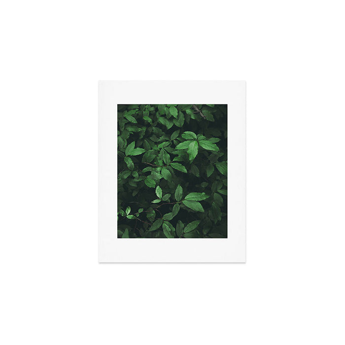 Some Greenery Art Print Gallery Image 1