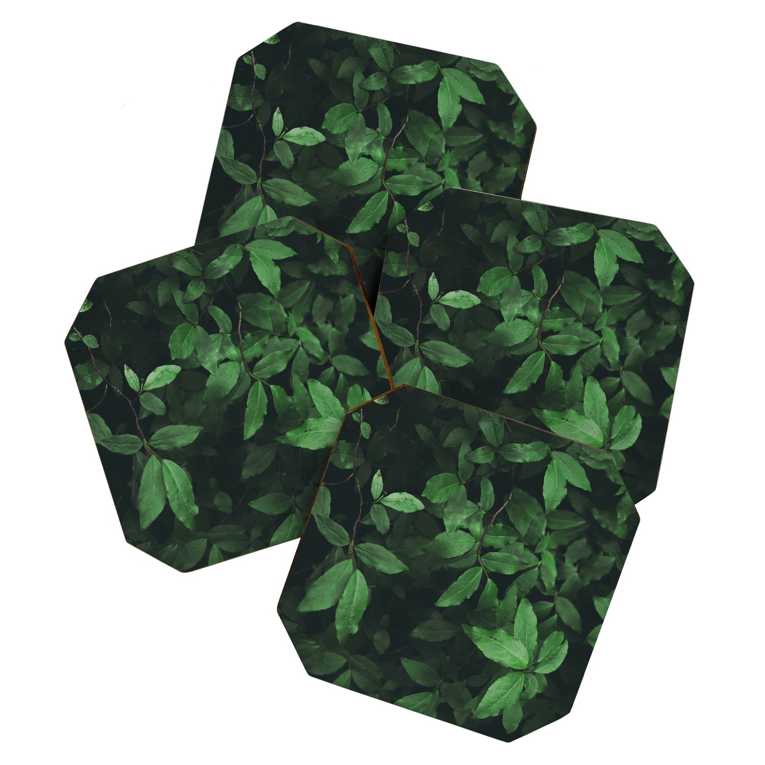 Some Greenery Coaster Gallery Image 1