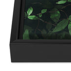 Some Greenery Framed Canvas Print Gallery Image 3