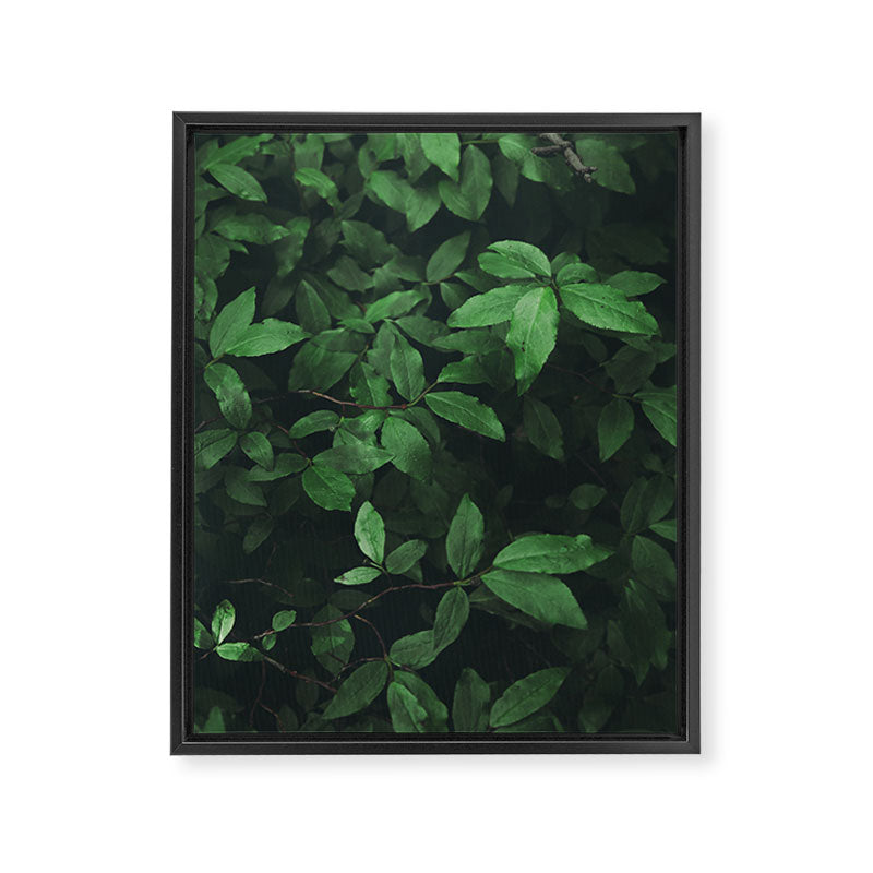 Some Greenery Framed Canvas Print Gallery Image 6