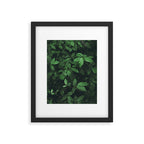 Some Greenery Framed Art Print Gallery Image 5