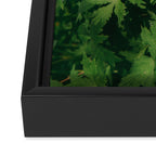Some Greenery II Framed Canvas Print Gallery Image 3