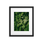 Some Greenery II Framed Art Print Gallery Image 5