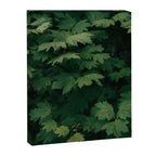 Some Greenery III Canvas Print Gallery Image 3