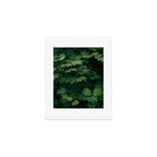 Some Greenery III Art Print Gallery Image 1