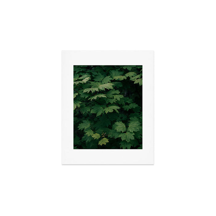 Some Greenery III Art Print Gallery Image 1