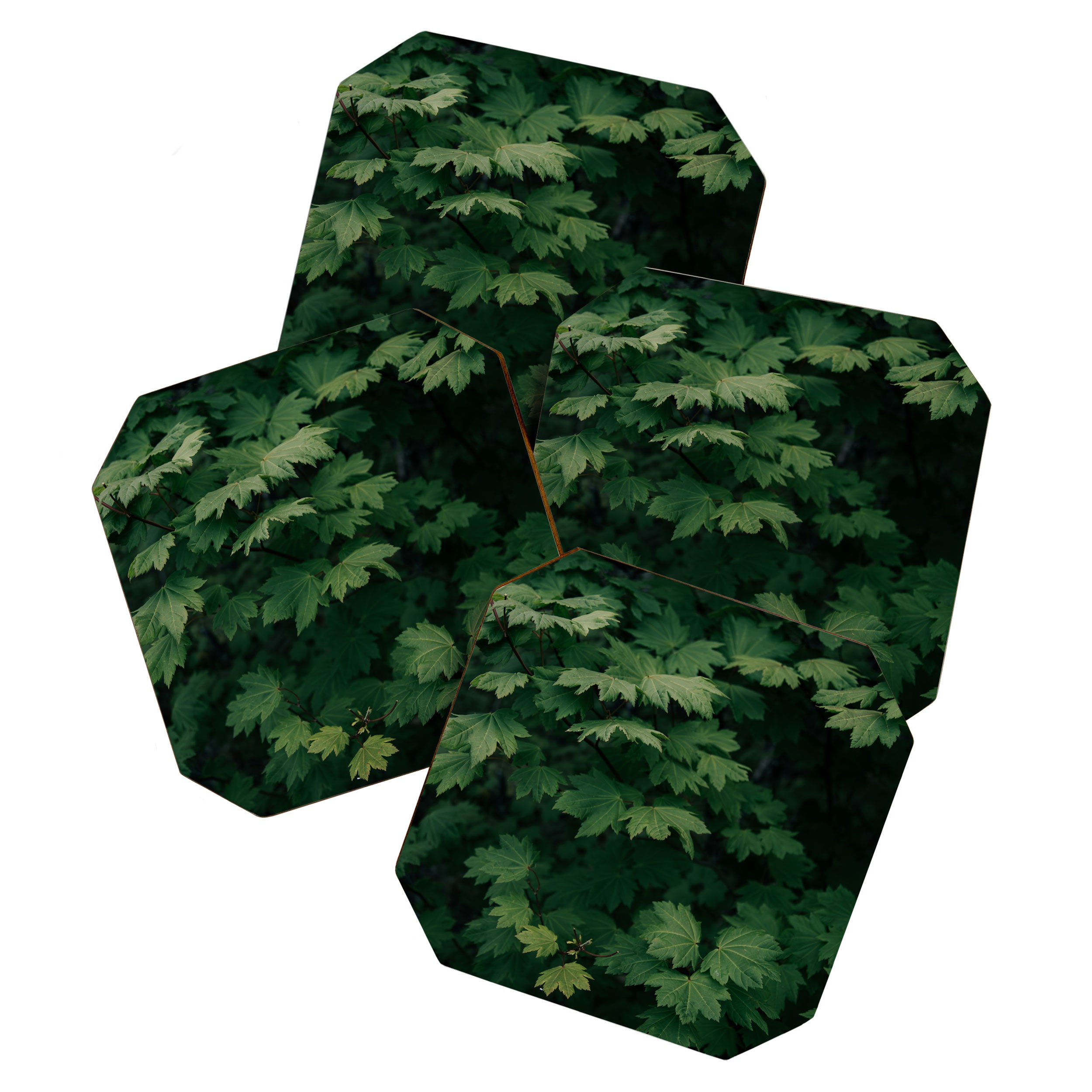 Some Greenery III Coaster Gallery Image 1