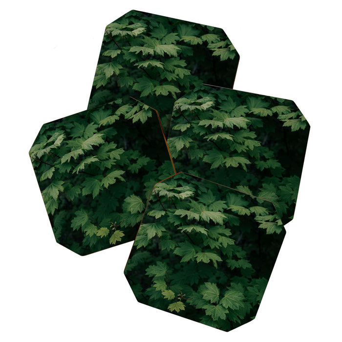 Some Greenery III Coaster Gallery Image 1