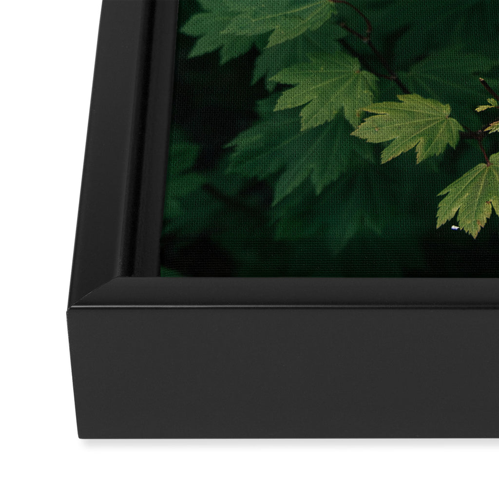Some Greenery III Framed Canvas Print Gallery Image 3