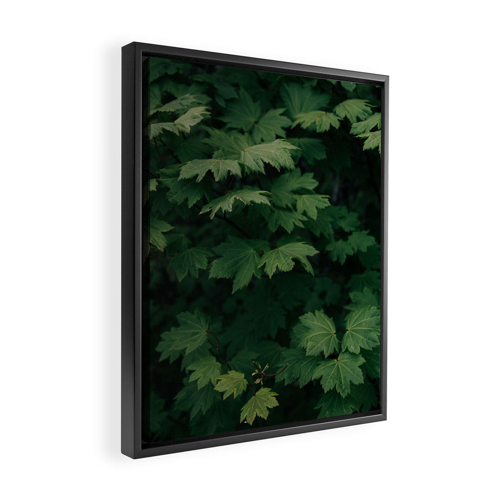 Some Greenery III Framed Canvas Print Gallery Image 2