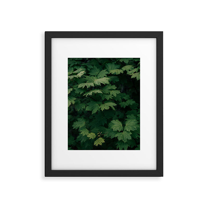Some Greenery III Framed Art Print Gallery Image 4