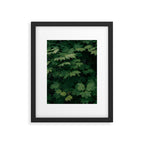Some Greenery III Framed Art Print Gallery Image 4