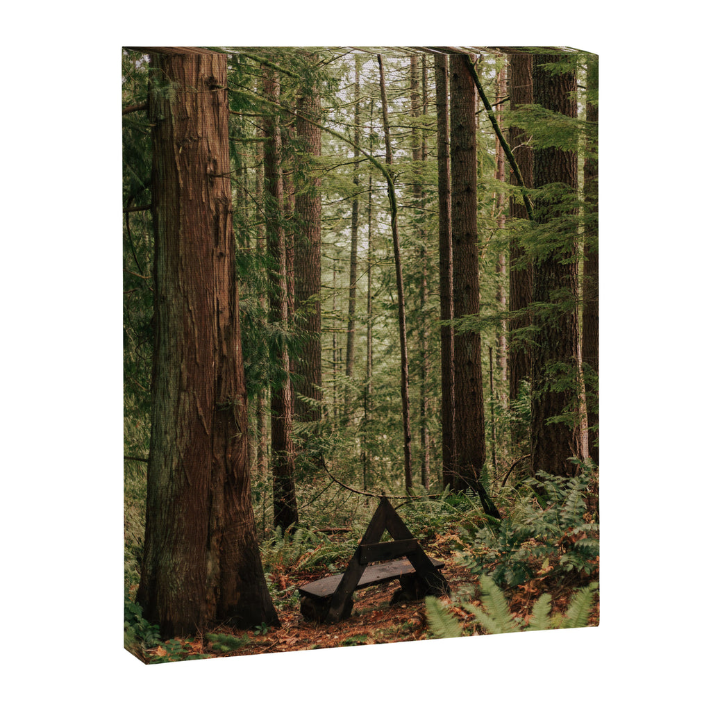 Somewhere Sacred Canvas Print Gallery Image 6