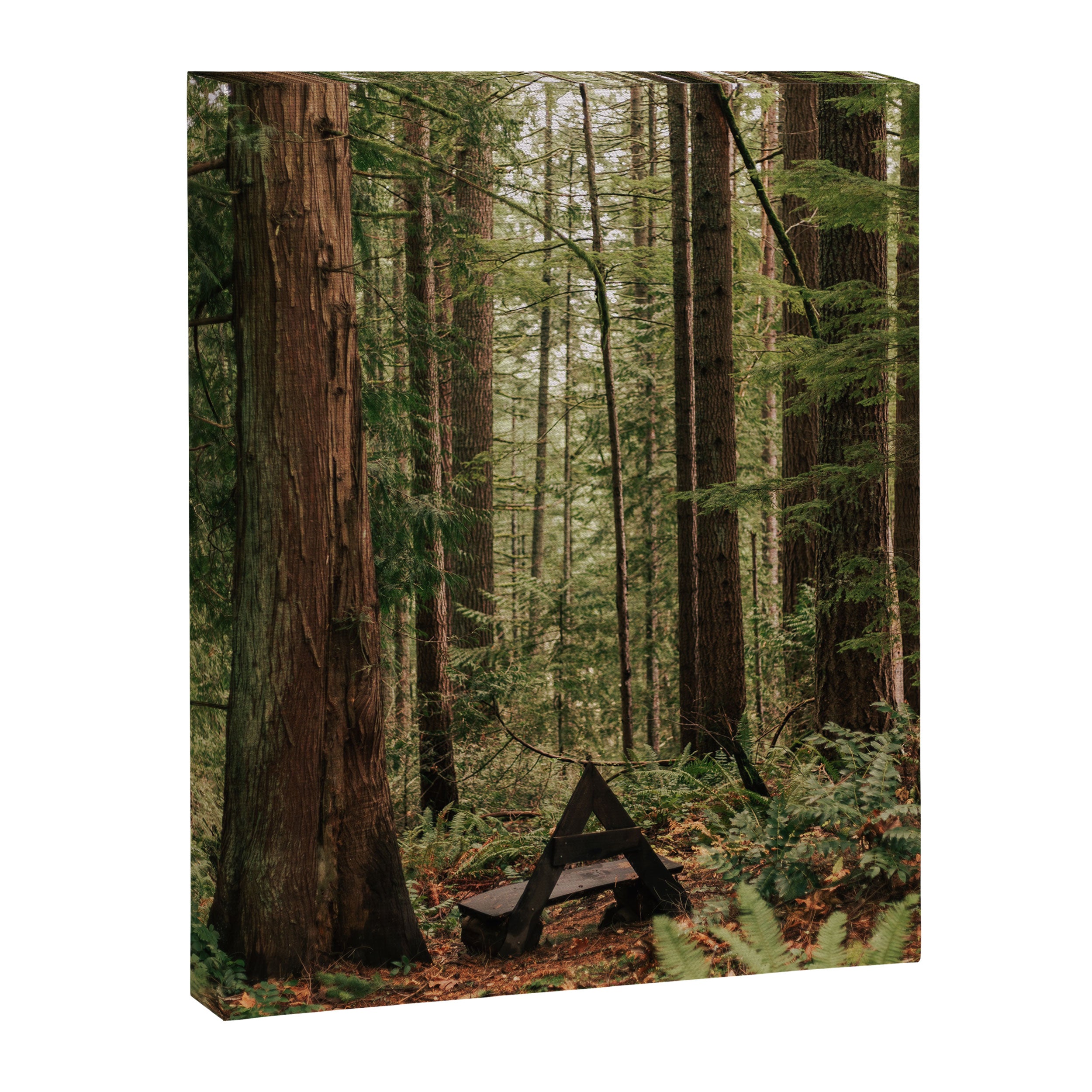 Somewhere Sacred Canvas Print Gallery Image 6