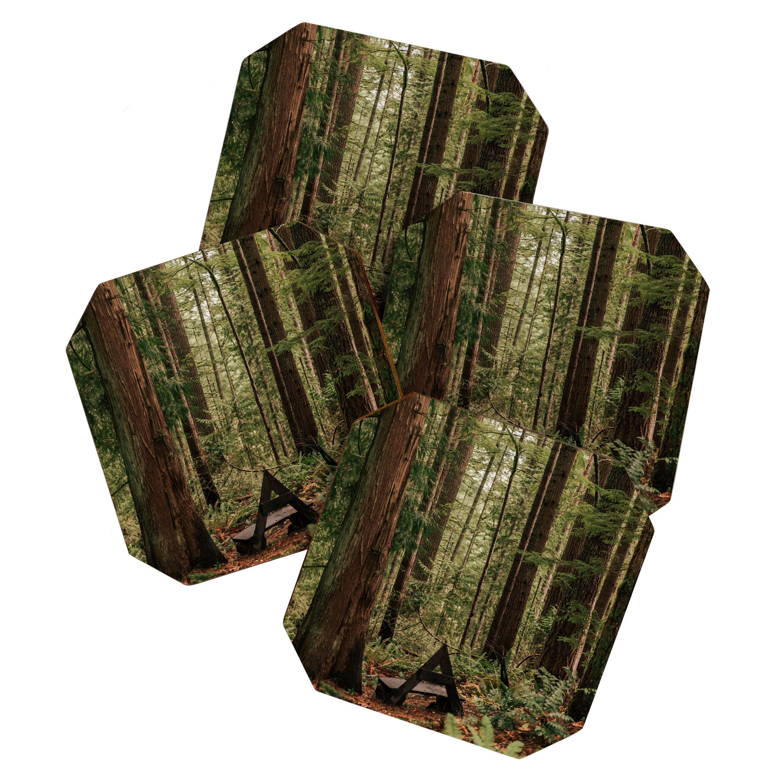 Somewhere Sacred Coaster Gallery Image 1
