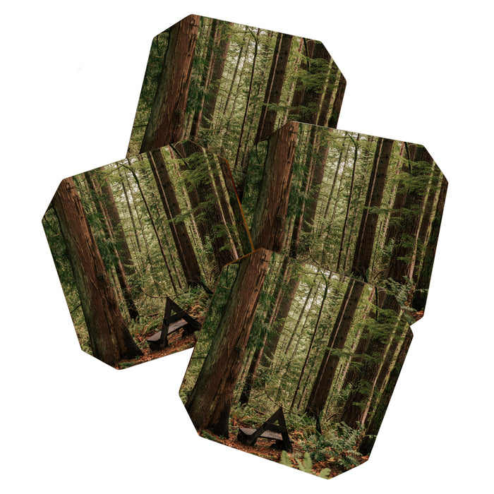 Somewhere Sacred Coaster Gallery Image 1