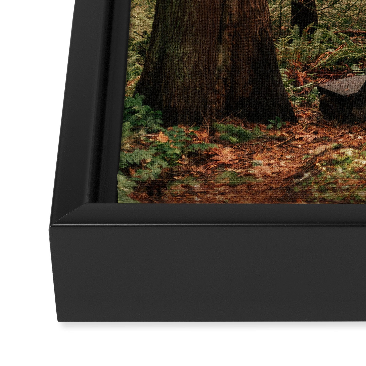 Somewhere Sacred Framed Canvas Print Gallery Image 3