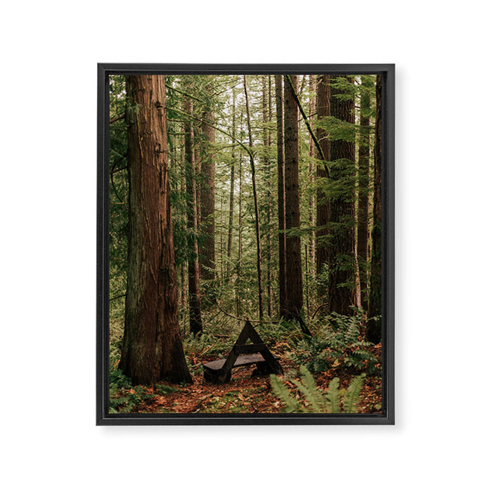 Somewhere Sacred Framed Canvas Print Gallery Image 1