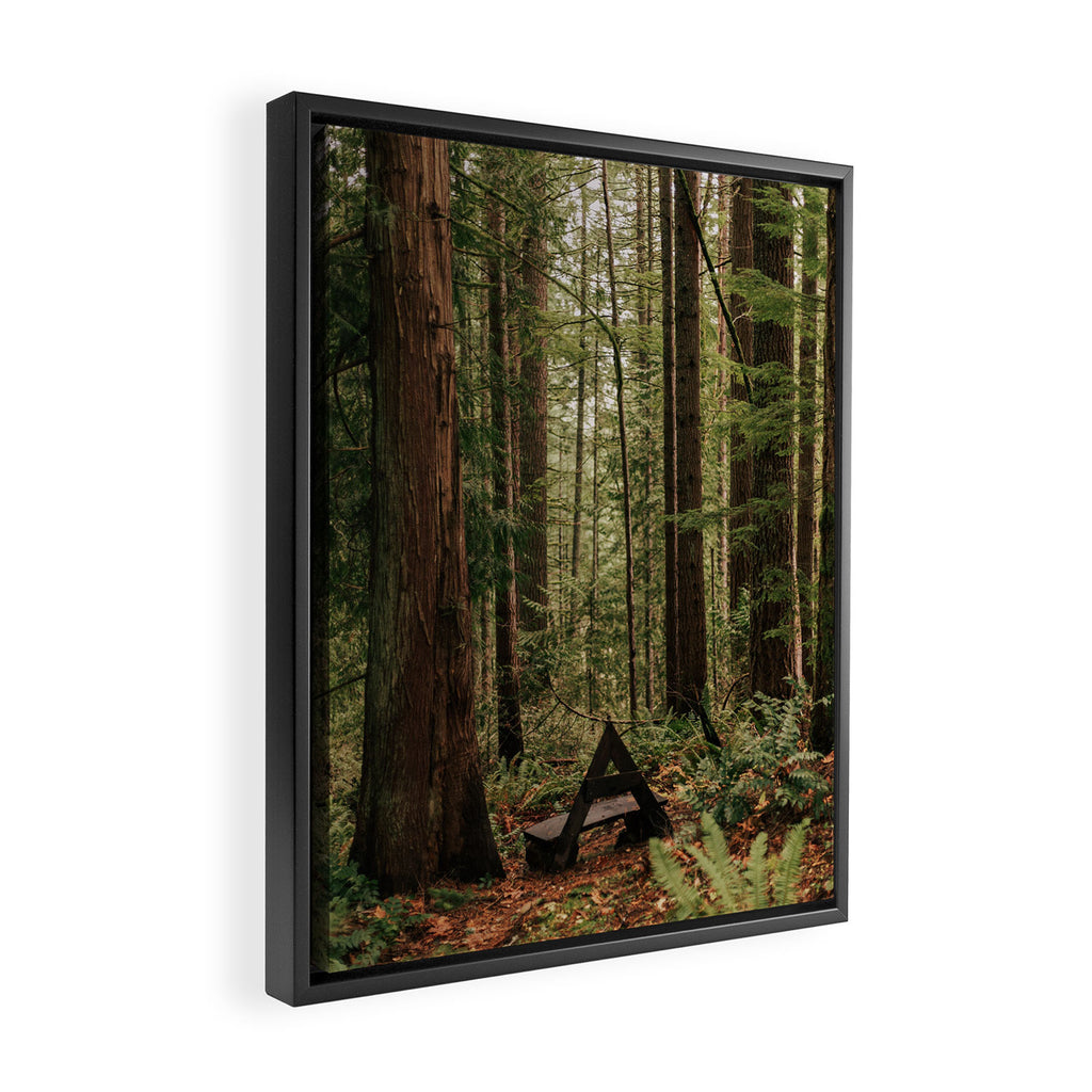 Somewhere Sacred Framed Canvas Print Gallery Image 2