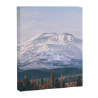 South Sister Canvas Print Gallery Image 6