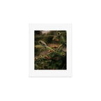 Spruce Tips Art Print Gallery Image 1