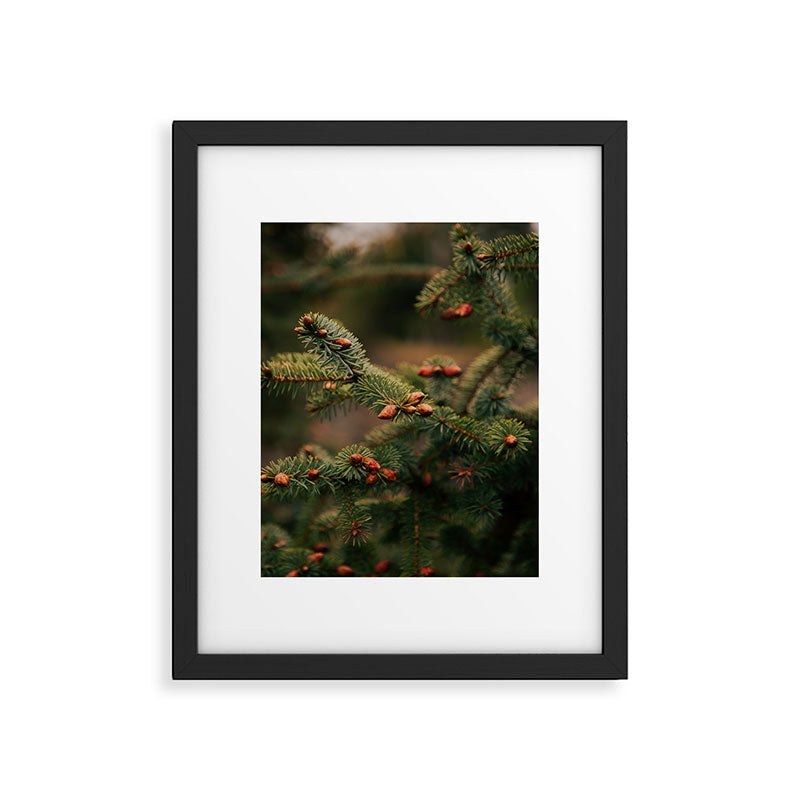 Spruce Tips Framed Art Print Gallery Image 5
