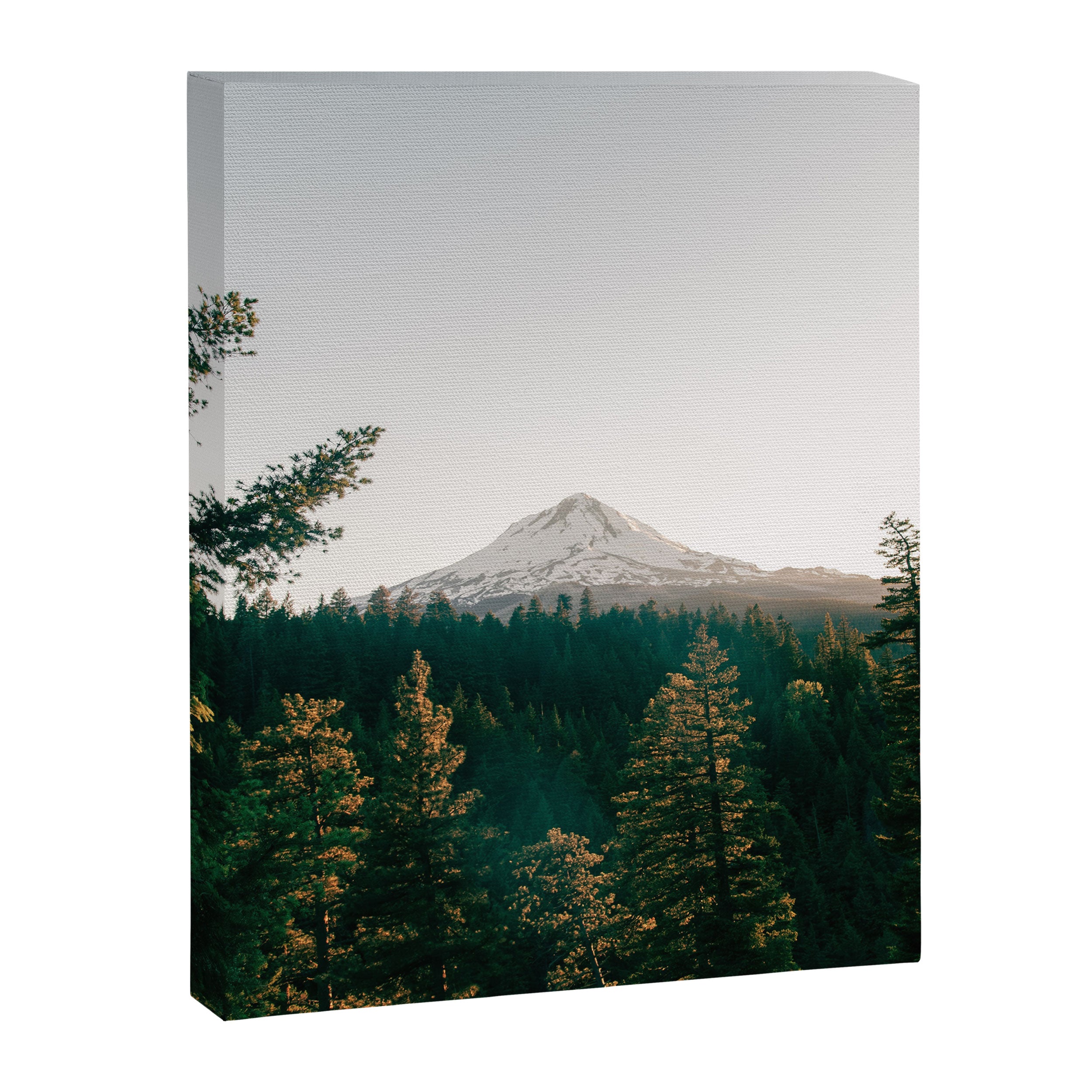 The Great Outdoors Canvas Print Gallery Image 6