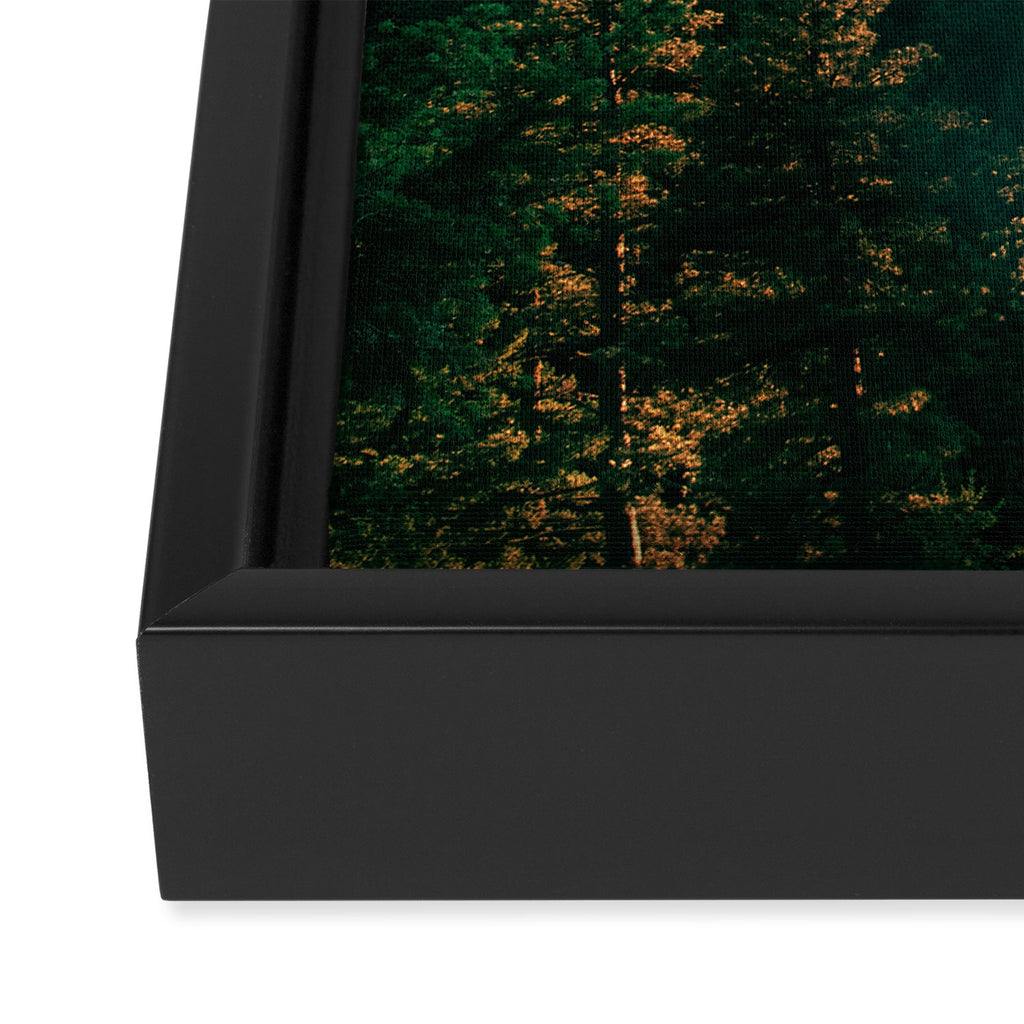 The Great Outdoors Framed Canvas Print Gallery Image 3