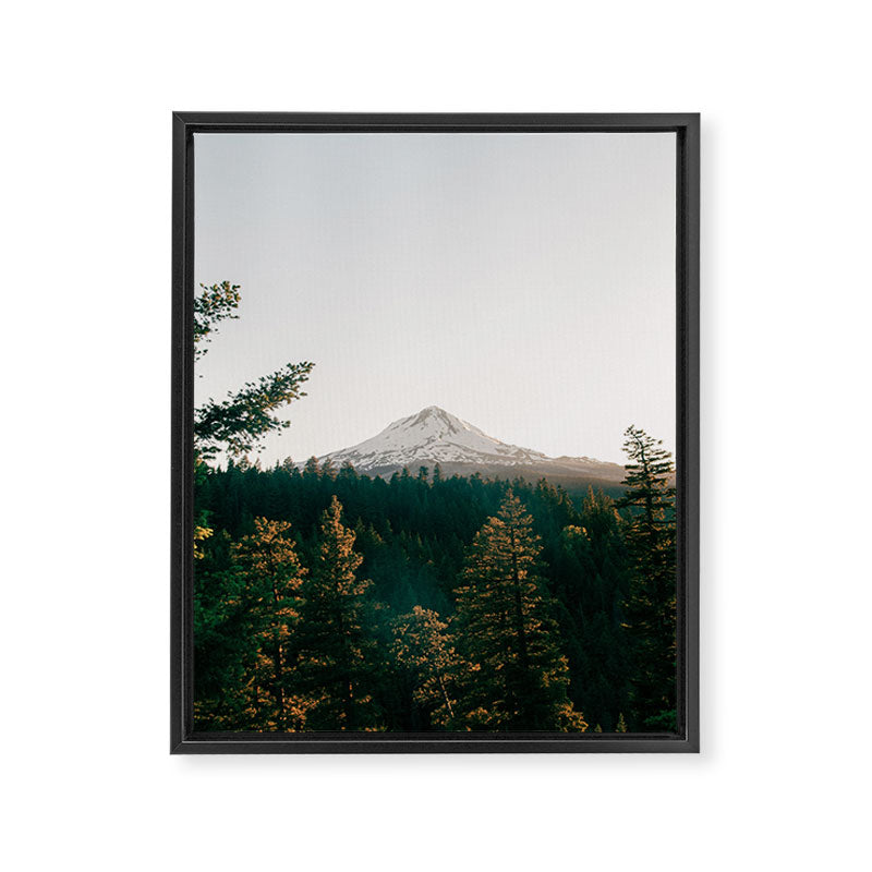 The Great Outdoors Framed Canvas Print Gallery Image 6