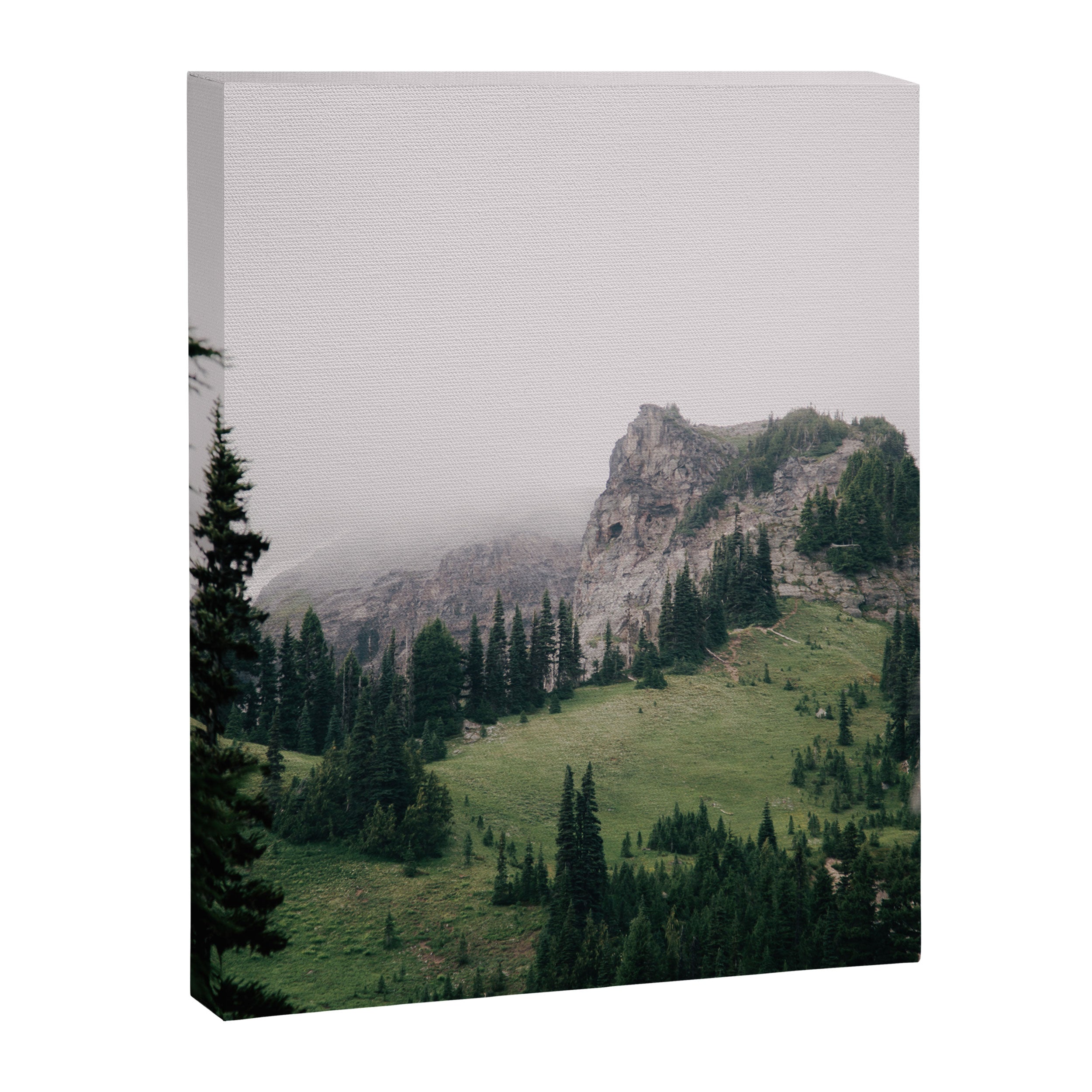 The Pacific Northwest Canvas Print Gallery Image 6