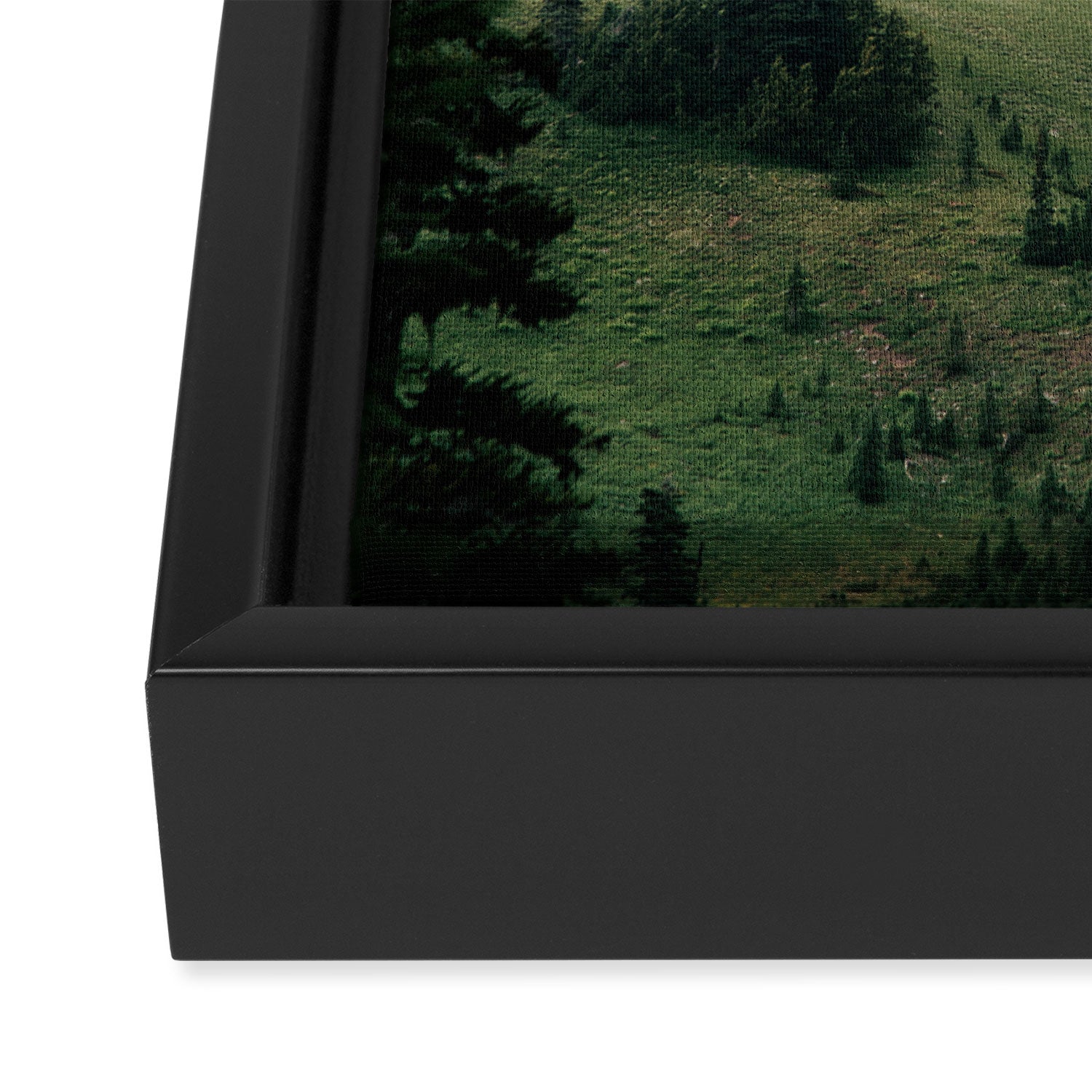 The Pacific Northwest Framed Canvas Print Gallery Image 3