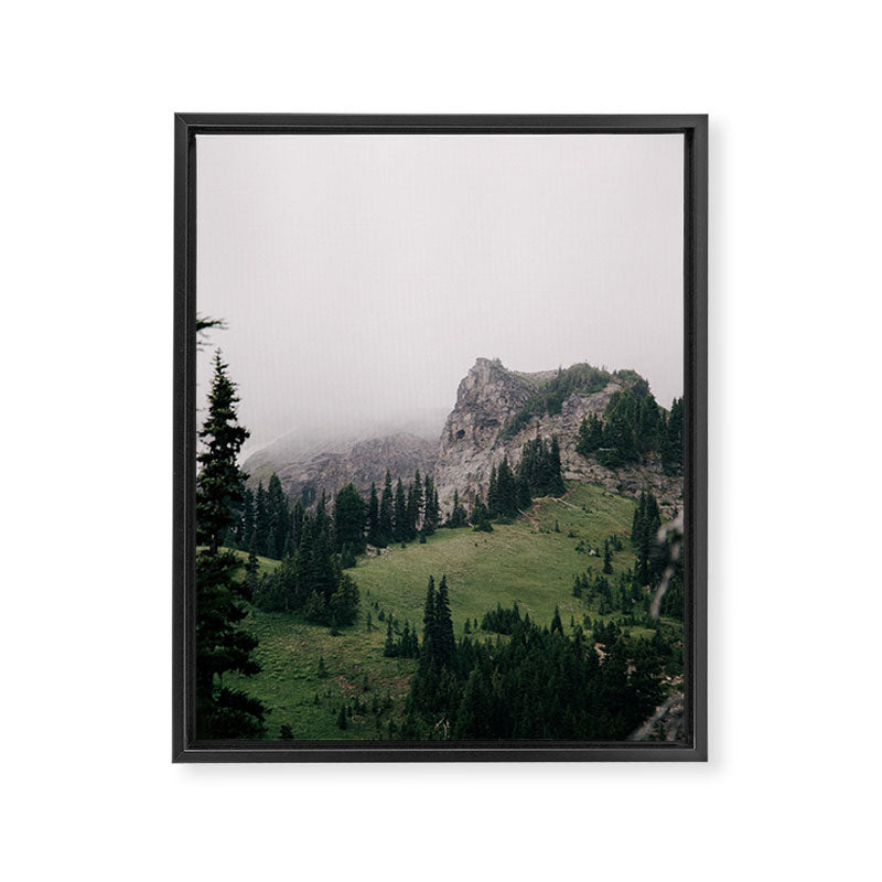The Pacific Northwest Framed Canvas Print Gallery Image 6