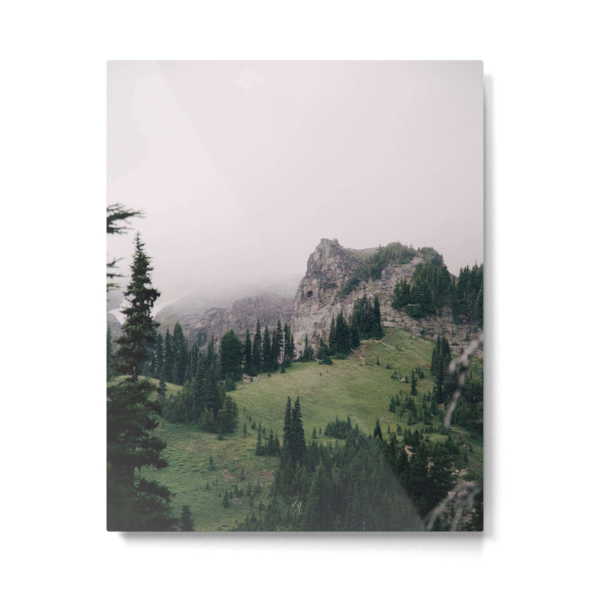 The Pacific Northwest Metal Print Gallery Image 4