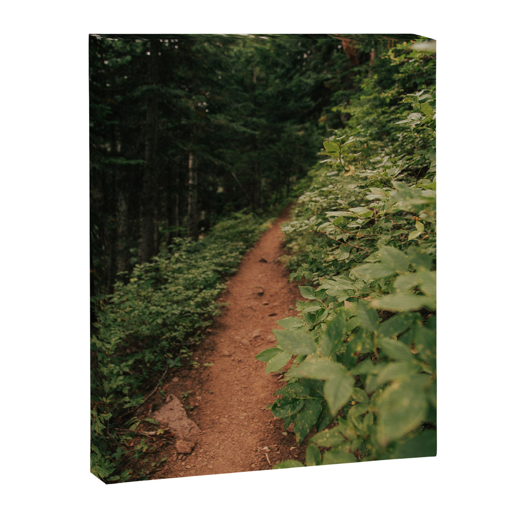 Through the Green Canvas Print Gallery Image 6