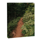 Through the Green Canvas Print Gallery Image 6